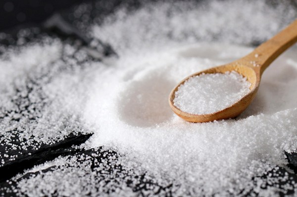 salt-6728600_1280-1769438301